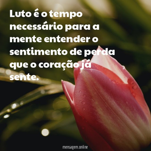 Luto é o tempo necessário para a mente