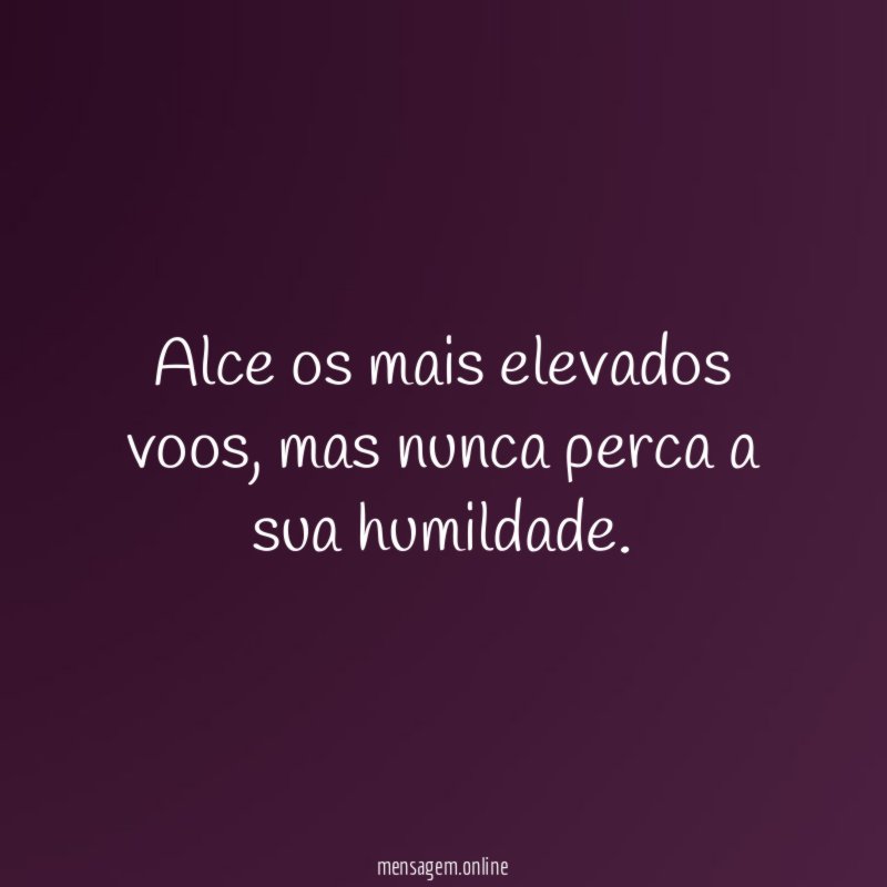 Alce os mais elevados voos
