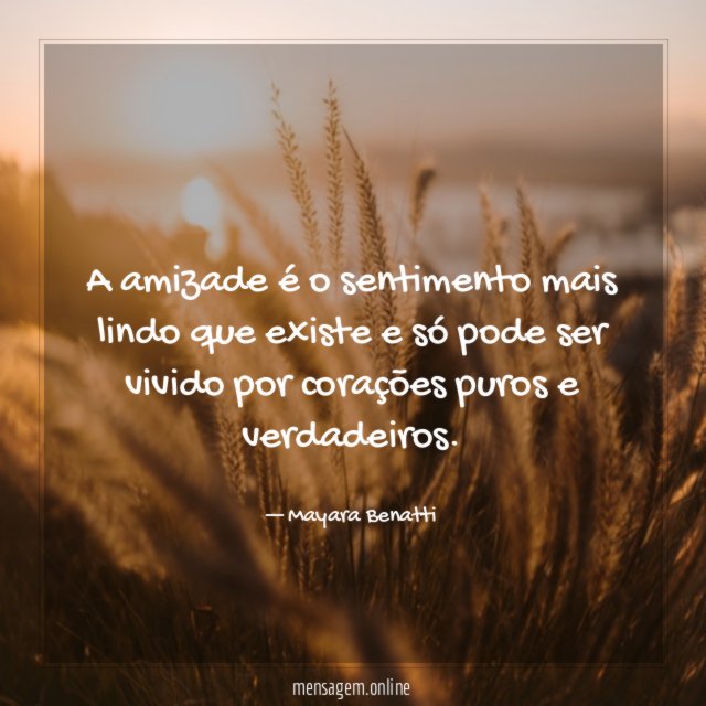 A amizade é o sentimento mais lindo que