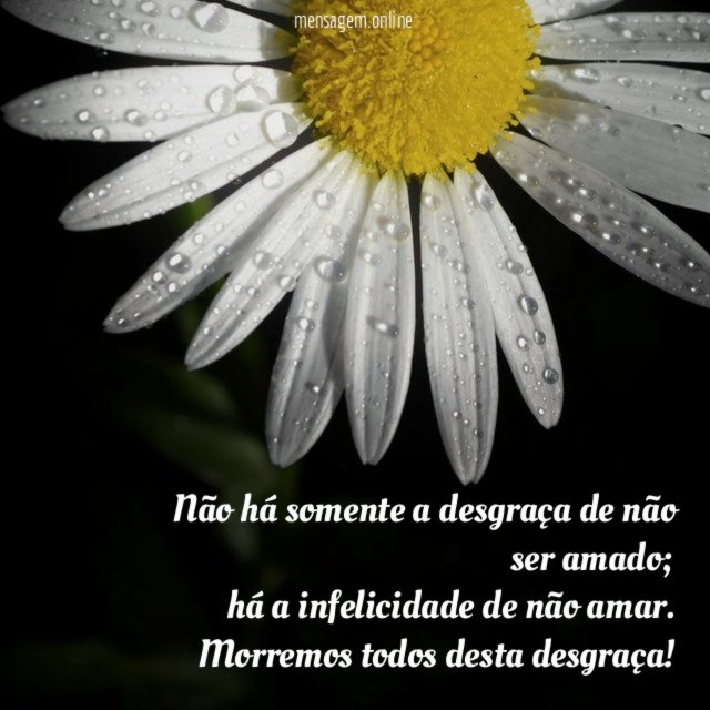 Não há somente a desgraça de não ser amado