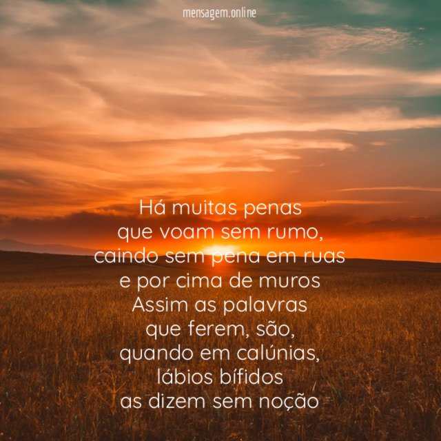Há muitas penas
que voam sem rumo,
caindo sem pena em ruas
e por cima de muros