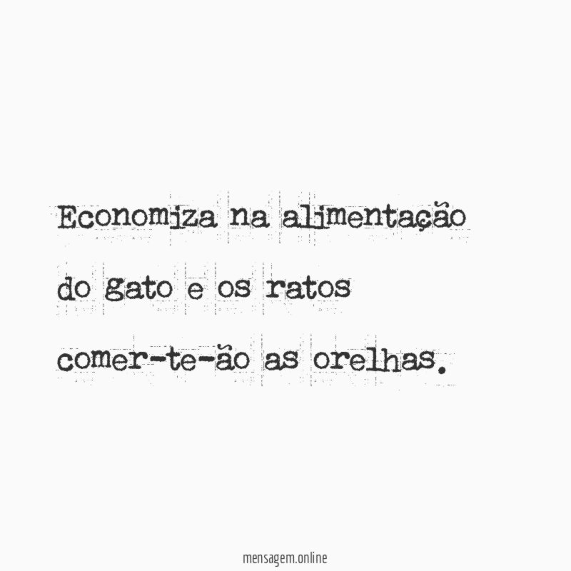 Economiza na alimentação do gato e os ratos