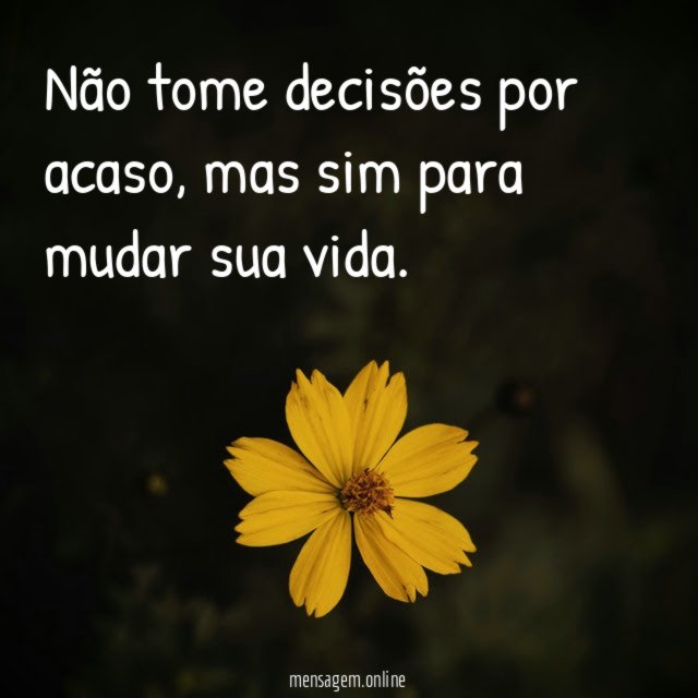 Não tome decisões por acaso