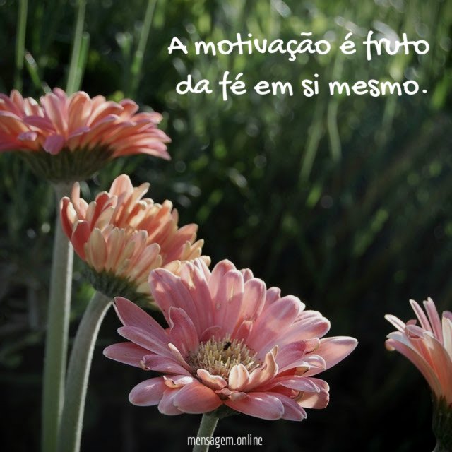 A motivação é fruto da fé em si mesmo