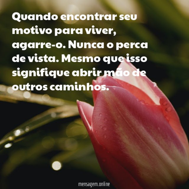 Quando encontrar seu motivo para viver