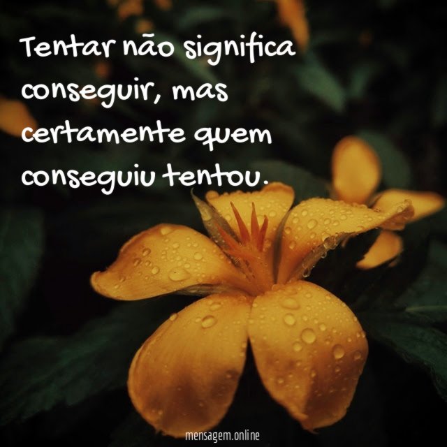Tentar não significa conseguir
