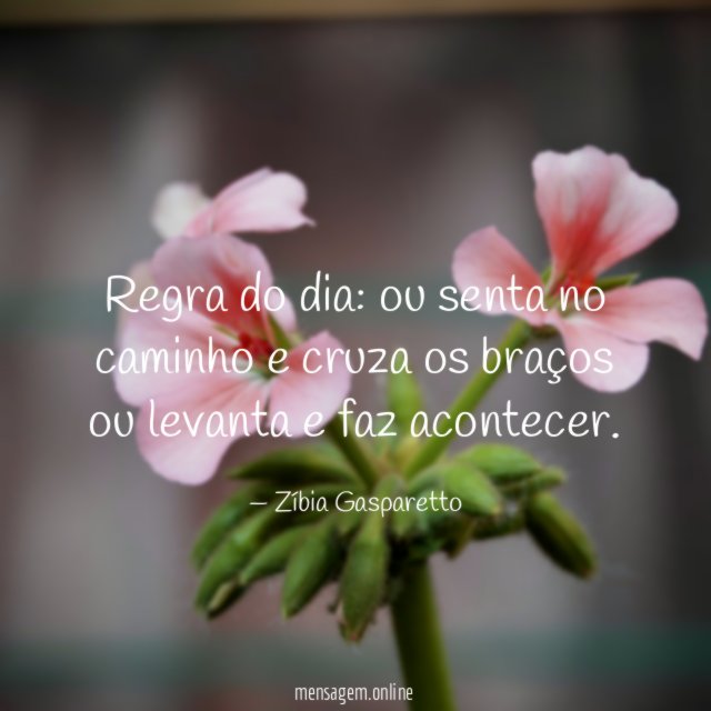 Regra do dia