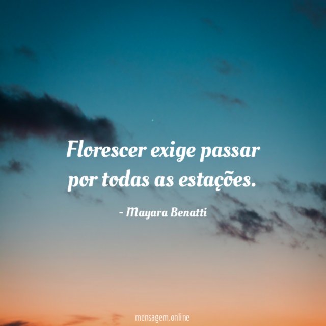 Florescer exige passar por todas as estações