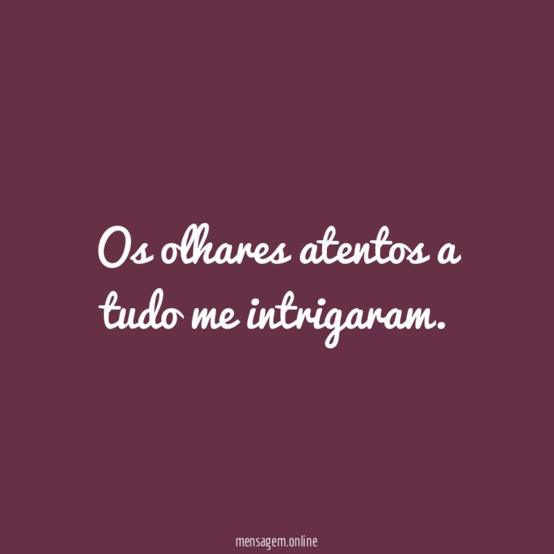 Os olhares atentos a tudo me intrigaram