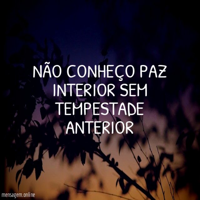 Não conheço paz interior sem tempestade anterior