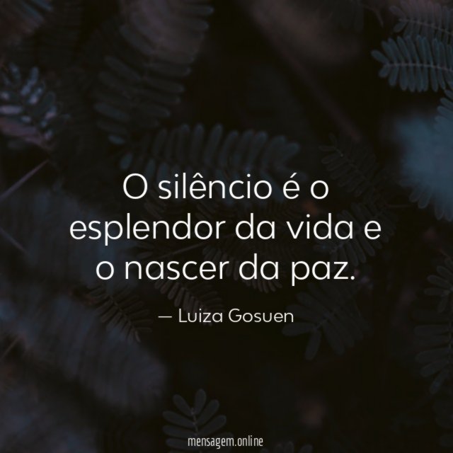O silêncio é o esplendor da vida e o nascer da paz