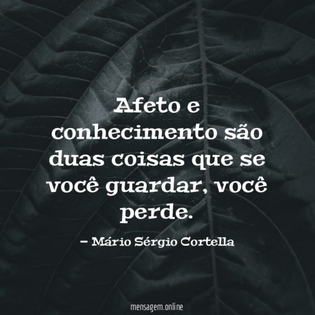 Afeto e conhecimento são duas coisas que se você guardar
