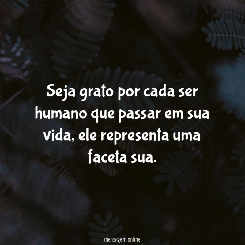 Seja grato por cada ser humano que passar em sua vida