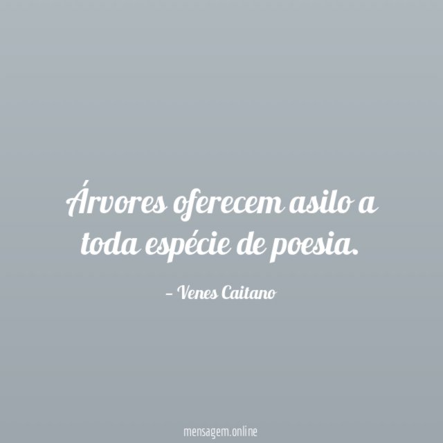 Árvores oferecem asilo a toda espécie de poesia