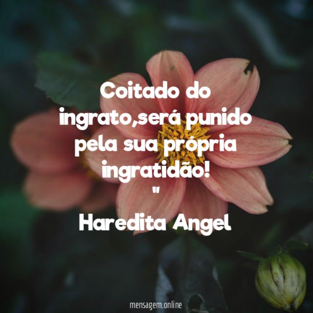 "Coitado do ingrato,será punido pela sua própria ingratidão!"