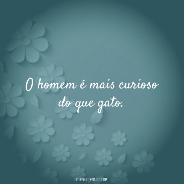 O homem é mais curioso do que gato