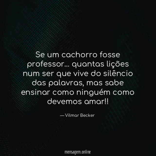 Se um cachorro fosse professor