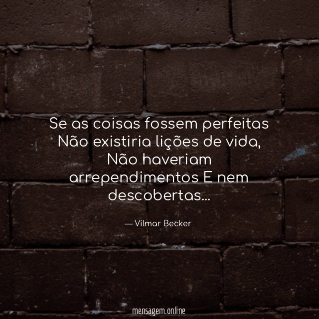 Se as coisas fossem perfeitas Não existiria lições de vida