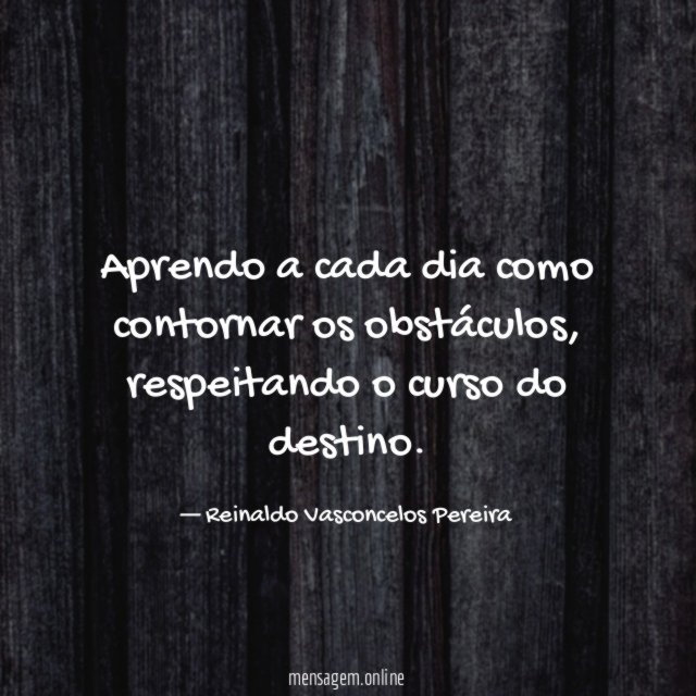 Aprendo a cada dia como contornar os obstáculos