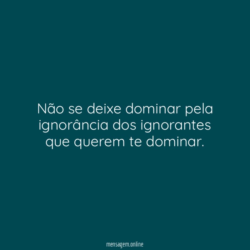 Não se deixe dominar pela ignorância dos ignorantes