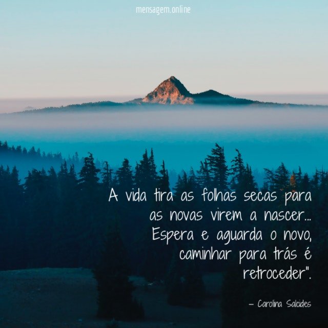 "A vida tira as folhas secas para as novas virem a nascer