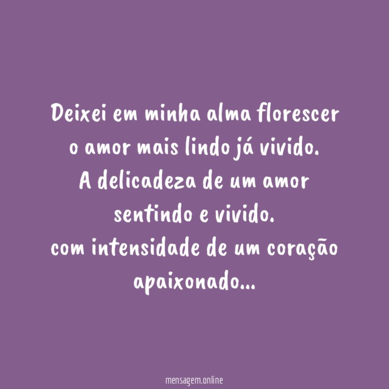 Deixei em minha alma florescer o amor mais lindo já vivido