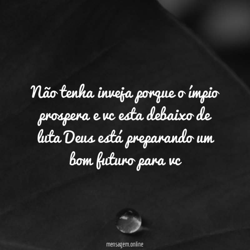 Não tenha inveja porque o ímpio prospera