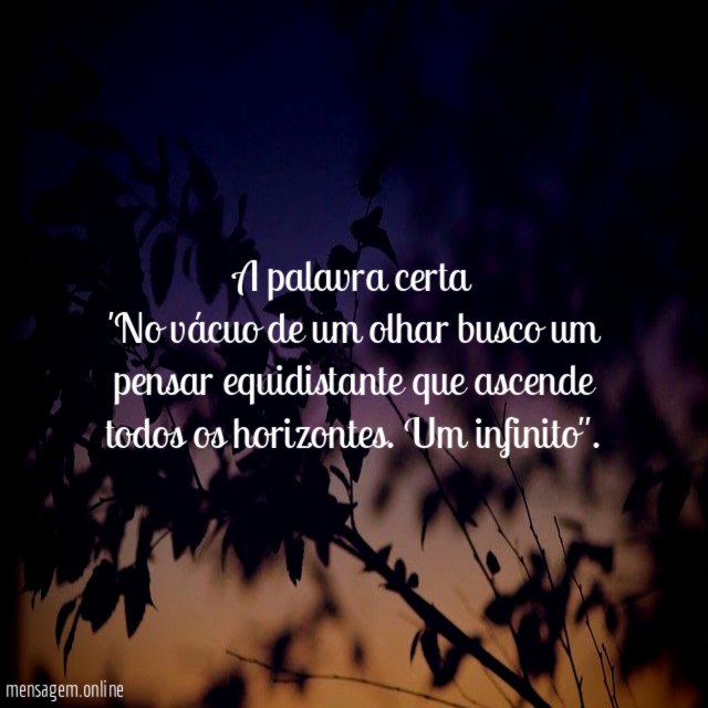 A palavra certa