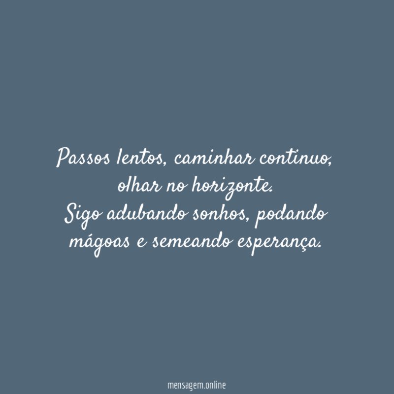 Passos lentos, caminhar continuo, olhar no horizonte.
Sigo adubando sonhos, podando mágoas e semeando esperança.