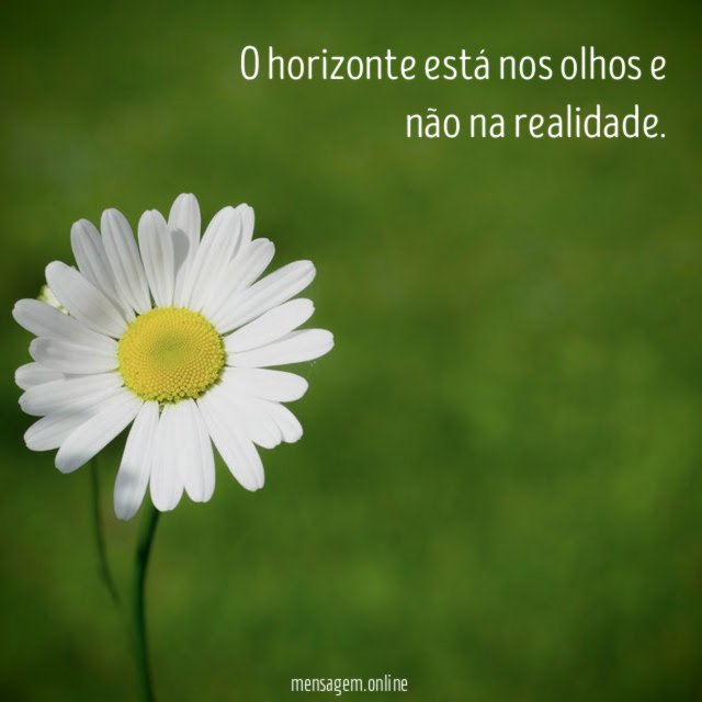 O horizonte está nos olhos e não na realidade