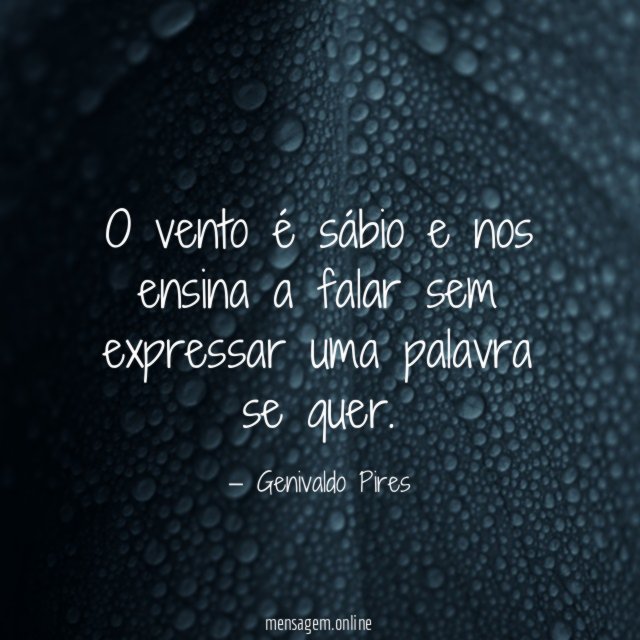 O vento é sábio e nos ensina a