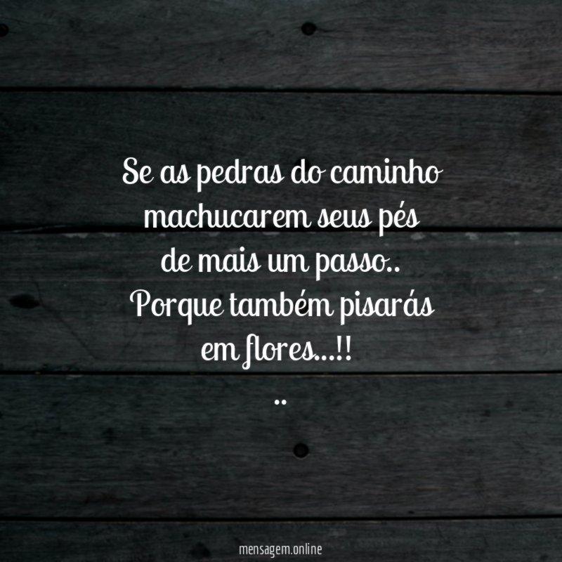 Se as pedras do caminho machucarem seus pés
de mais um passo..
Porque também pisarás
em flores…!!
