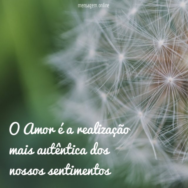 O Amor é a realização mais autêntica dos nossos sentimentos