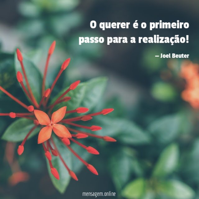O querer é o primeiro passo para a realização