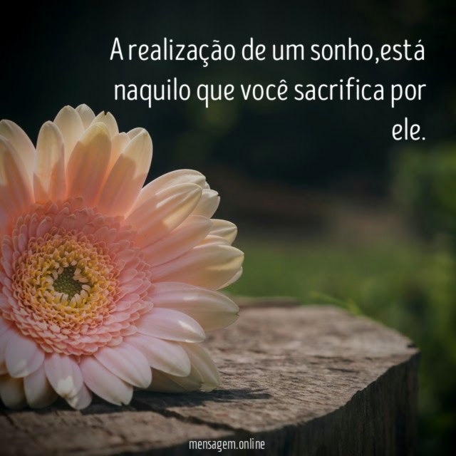 A realização de um sonho