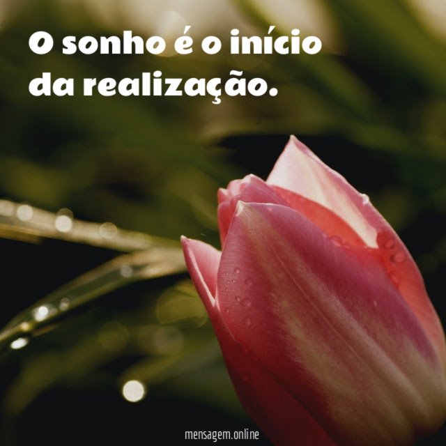 O sonho é o início da realização