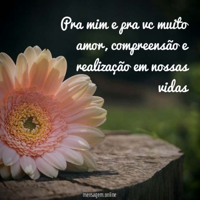 Pra mim e pra vc muito amor