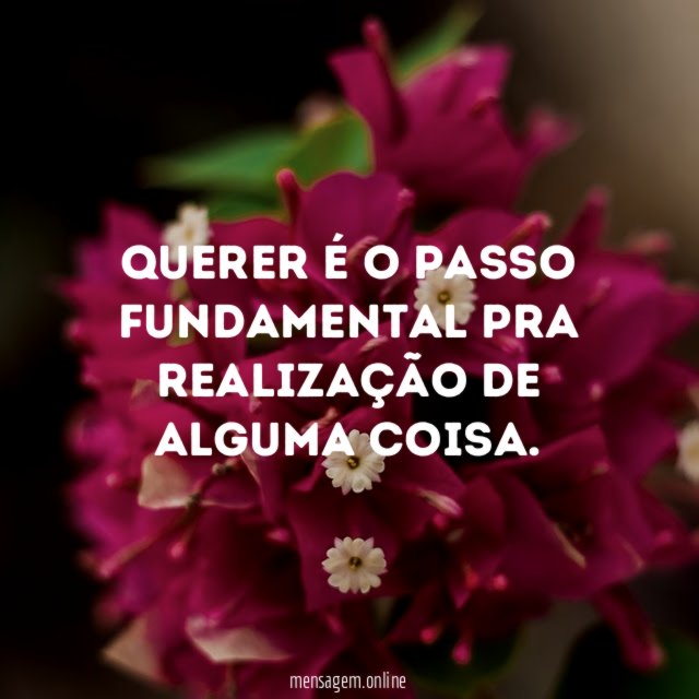 Querer é o passo fundamental pra realização de alguma coisa