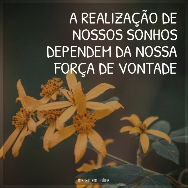 A realização de nossos sonhos dependem da nossa