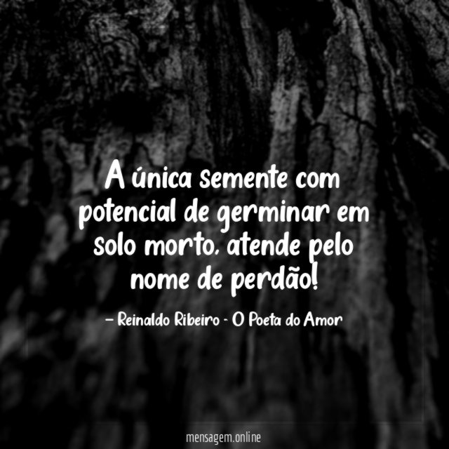 A única semente com potencial de germinar em solo morto