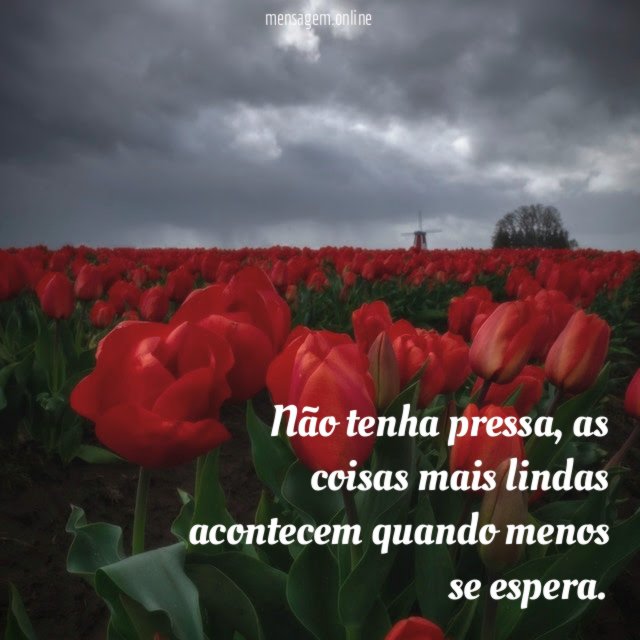 Não tenha pressa
