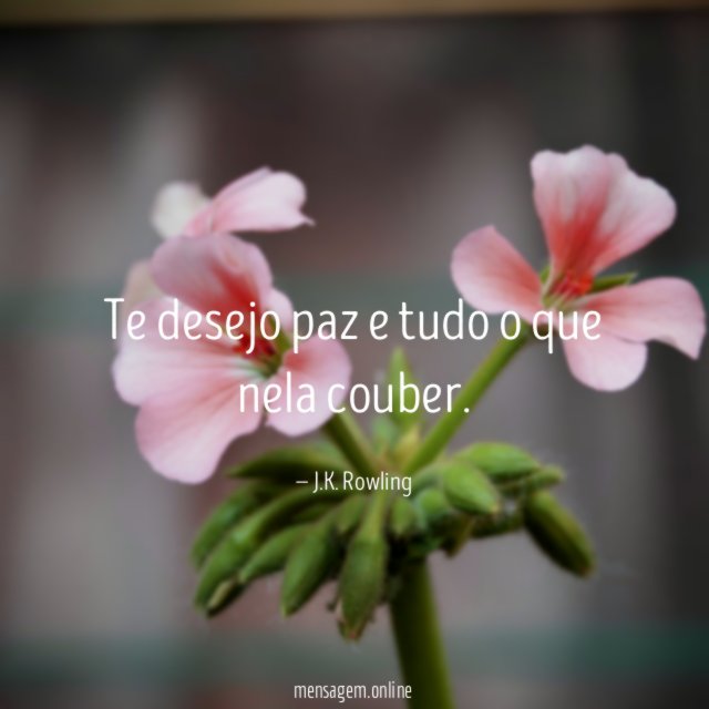 Te desejo paz e tudo o que nela couber