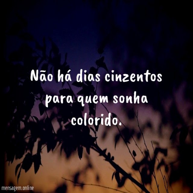 Não há dias cinzentos para quem sonha colorido