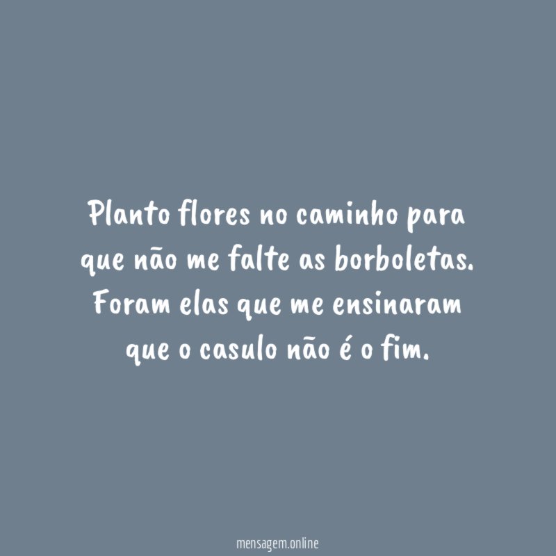 Planto flores no caminho para que não me falte as borboletas