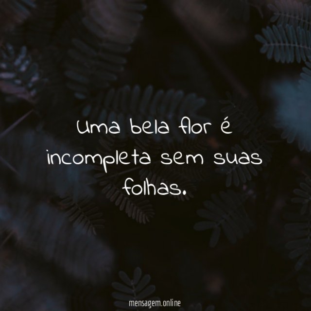Uma bela flor é incompleta sem suas folhas