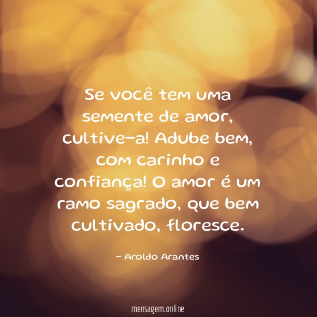 Se você tem uma semente de amor