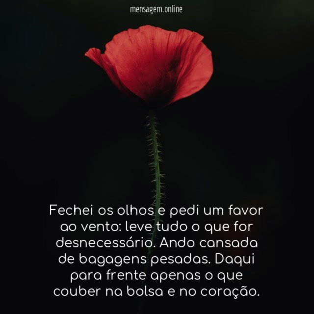 Fechei os olhos e pedi um favor ao vento
