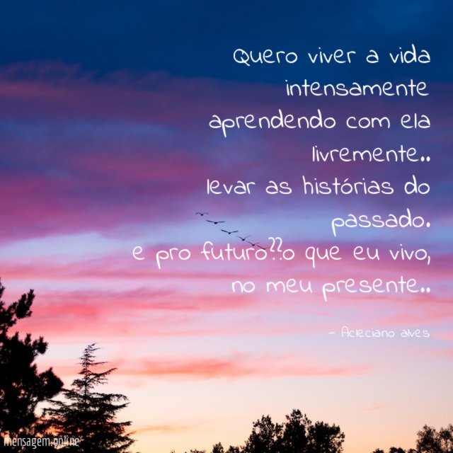 Quero viver a vida intensamente aprendendo com ela livremente