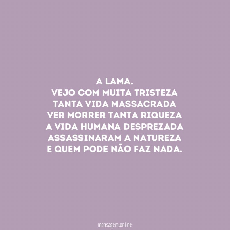 A lama.
