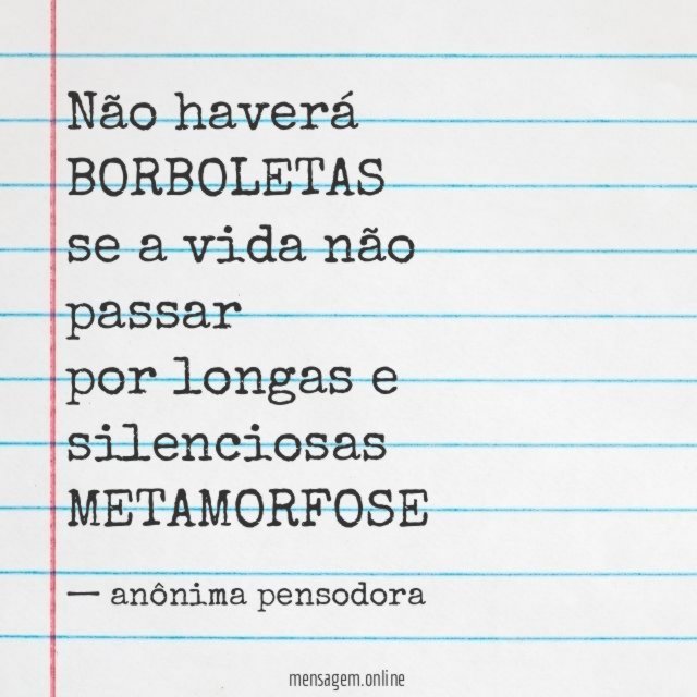 não haverá BORBOLETAS se a vida não passar por longas